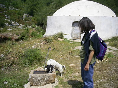 [Photo: dog at the trough]