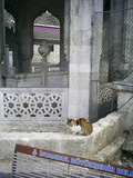  [photo from Istanbul, April, 2009]