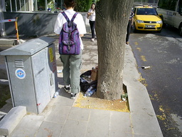 photo of Atatürk Bulvarı, 2008.06.20